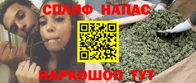 сатива Бугуруслан