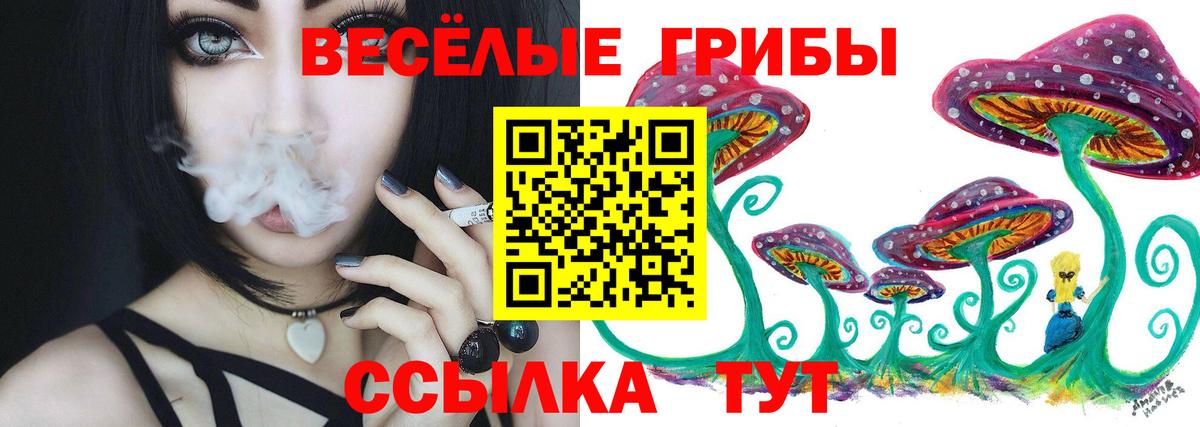 Псилоцибиновые грибы MAGIC MUSHROOMS  Вход с VPN  Псилоцибиновые грибы Psilocybe  Красный Сулин 