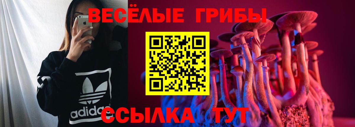 Галлюциногенные грибы ЛСД Красный Сулин
